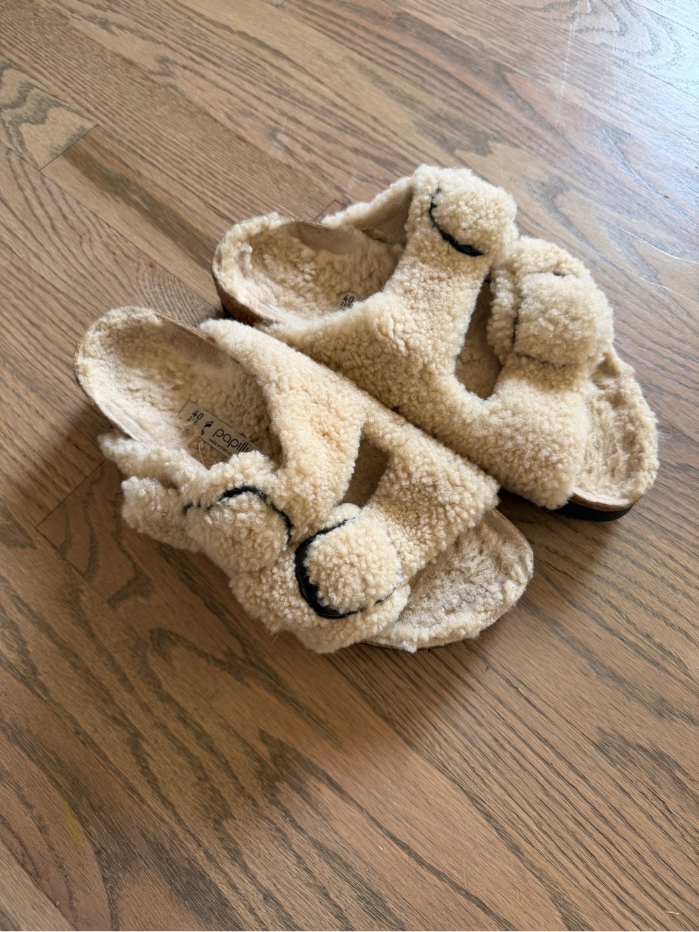 Arizona Big Buckle Shearling